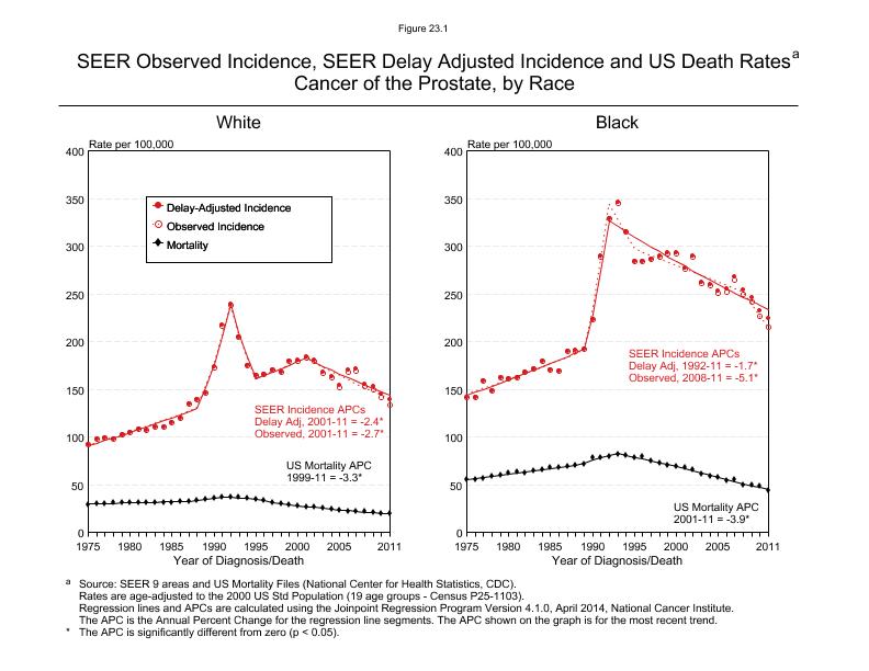 CSR Figure 23.1: SEER Incidence, Delay Adjusted Incidence and US Death Rates by Race