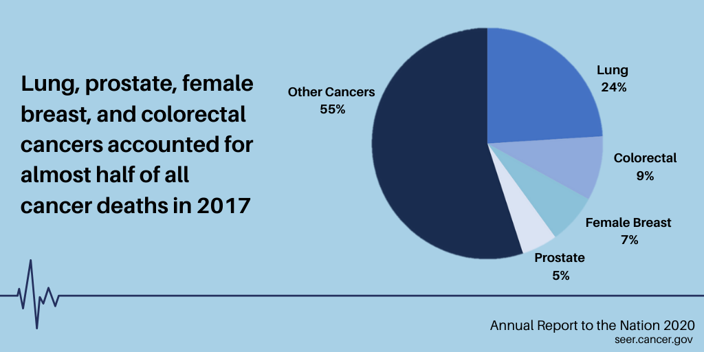 Among females, the three most common causes of cancer death in 2017 were lung, breast, and colorectal cancers, while among males the three most common were lung, prostate, and colorectal cancers.