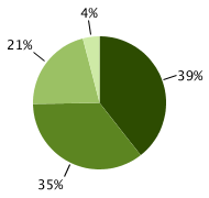 40% localized; 36% regional; 20% distant; 5% unknown