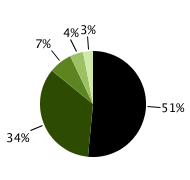 51% in situ; 35% localized; 7% regional; 4% distant; 3% unknown