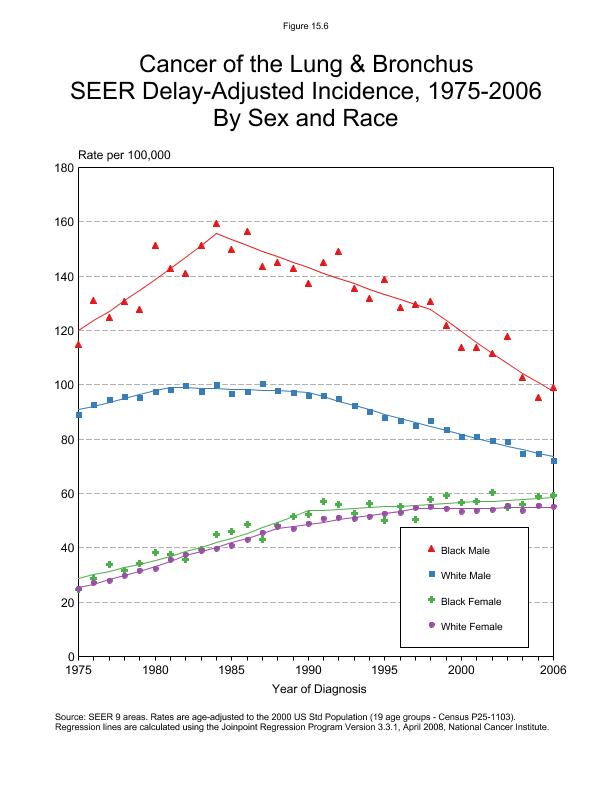 CSR Figure 15.6: SEER Delay Adjusted Incidence by Sex and Race