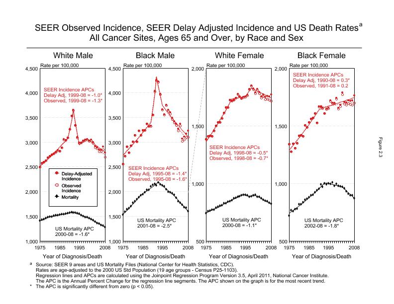 CSR Figure 2.3: SEER Incidence, Delay Adjusted Incidence and US Death Rates by Race and Sex (Ages 65+)