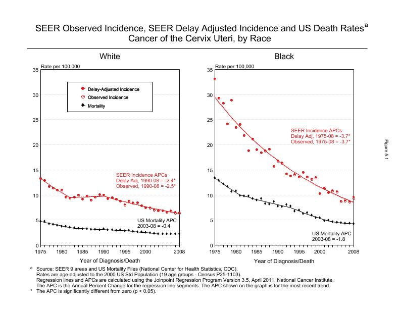 CSR Figure 5.1: SEER Incidence, Delay Adjusted Incidence and US Death Rates by Race