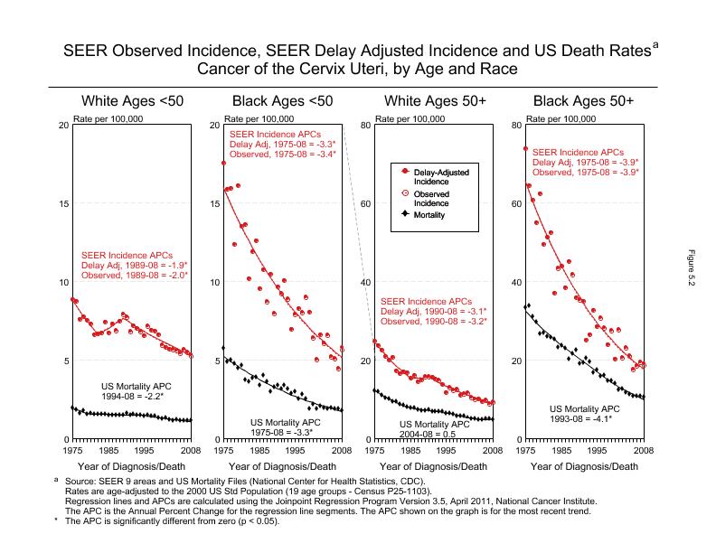 CSR Figure 5.2: SEER Incidence, Delay Adjusted Incidence and US Death Rates by Age and Race