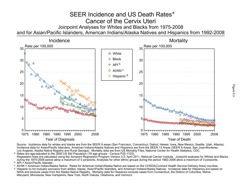 CSR Figure 5.3: SEER Incidence and US Death Rates by Race/Ethnicity