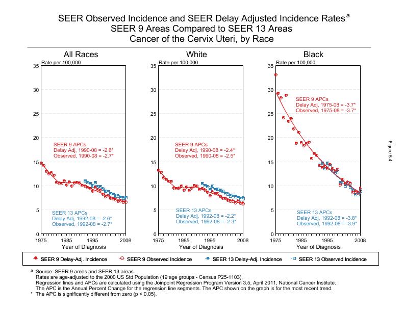 CSR Figure 5.4: SEER Delay Adjusted Incidence Rates for SEER 9 and SEER 13 Areas