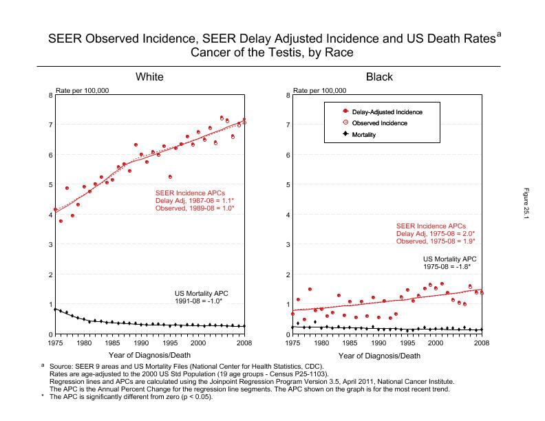 CSR Figure 25.1: SEER Incidence, Delay Adjusted Incidence and US Death Rates by Race