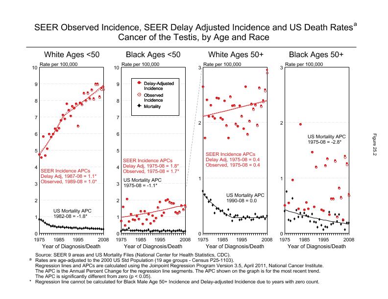 CSR Figure 25.2: SEER Incidence, Delay Adjusted Incidence and US Death Rates by Age and Race