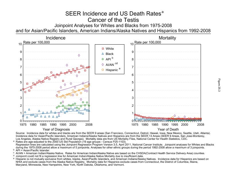 CSR Figure 25.3: SEER Incidence and US Death Rates by Race/Ethnicity