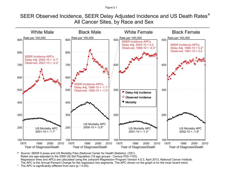 CSR Figure 2.1: SEER Incidence, Delay Adjusted Incidence and US Death Rates by Race and Sex