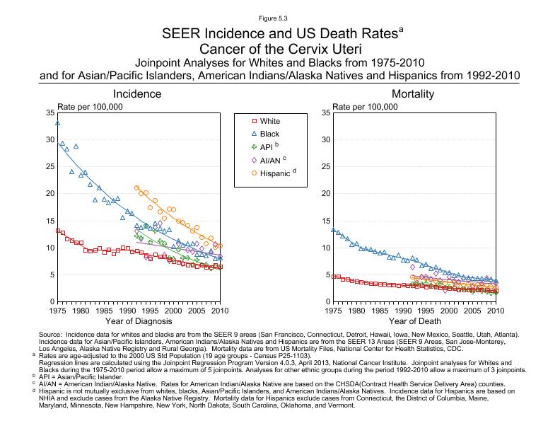 CSR Figure 5.3: SEER Incidence and US Death Rates by Race/Ethnicity