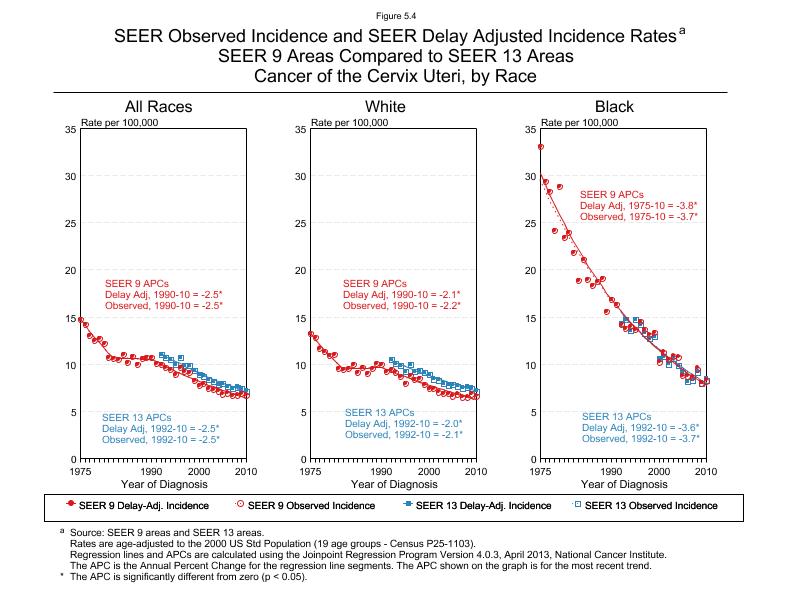 CSR Figure 5.4: SEER Delay Adjusted Incidence Rates for SEER 9 and SEER 13 Areas