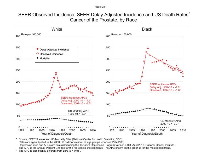CSR Figure 23.1: SEER Incidence, Delay Adjusted Incidence and US Death Rates by Race