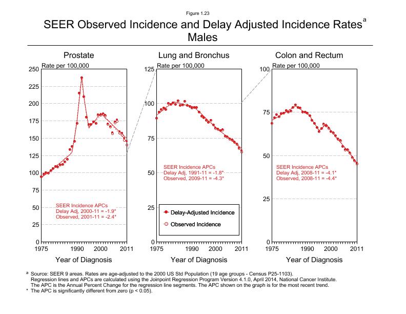 CSR Figure 1.23: SEER Incidence Rates, Males (Prostate, Lung and Bronchus, Colon and Rectum)