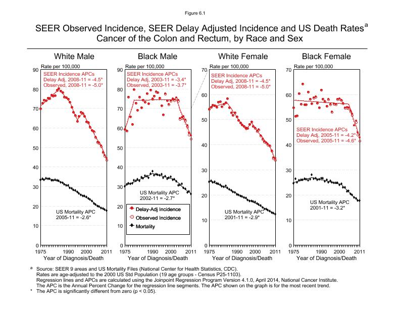 CSR Figure 6.1: SEER Incidence, Delay Adjusted Incidence and US Death Rates by Race and Sex