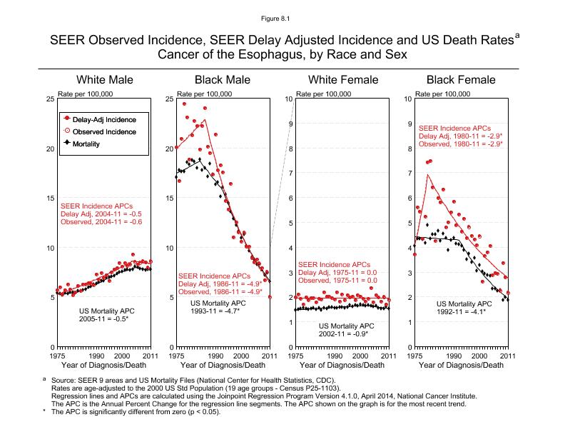 CSR Figure 8.1: SEER Incidence, Delay Adjusted Incidence and US Death Rates by Race and Sex