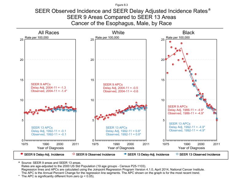 CSR Figure 8.3: SEER Delay Adjusted Incidence Rates for SEER 9 and SEER 13 Areas, Males