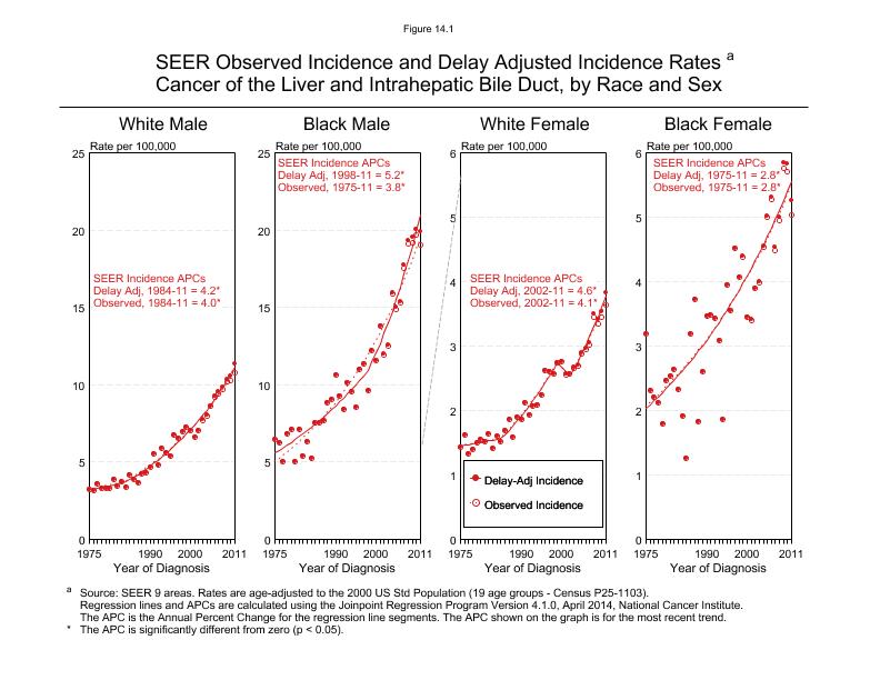 CSR Figure 14.1: SEER Incidence and Delay Adjusted Incidence by Race and Sex