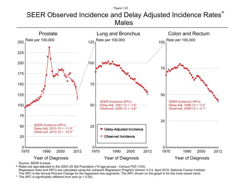 CSR Figure 1.23: SEER Incidence Rates, Males (Prostate, Lung and Bronchus, Colon and Rectum)