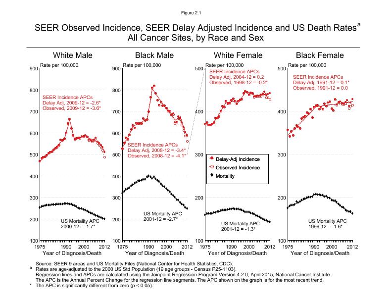 CSR Figure 2.1: SEER Incidence, Delay Adjusted Incidence and US Death Rates by Race and Sex