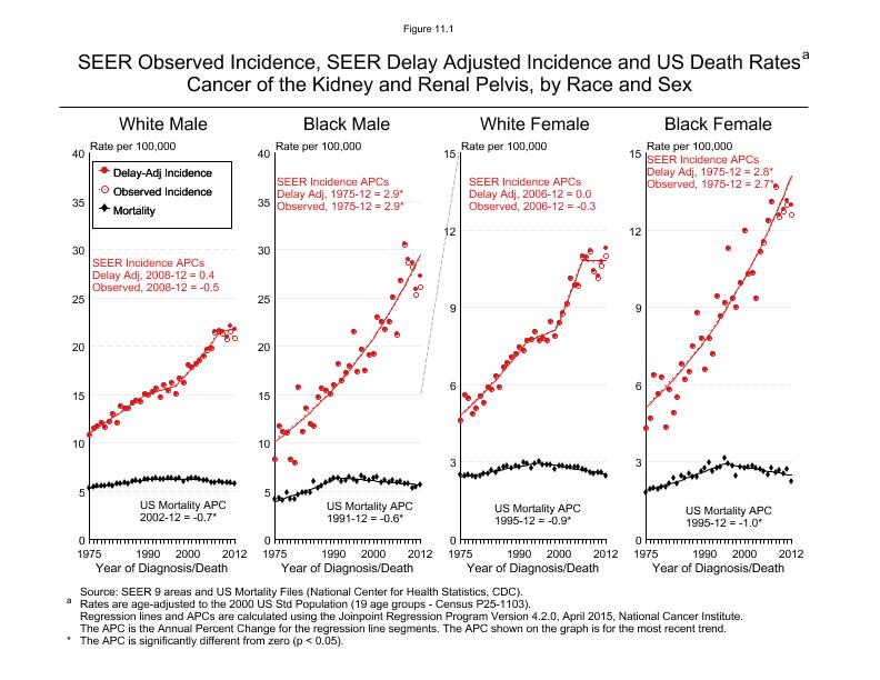 CSR Figure 11.1: SEER Incidence, Delay Adjusted Incidence and US Death Rates by Race and Sex