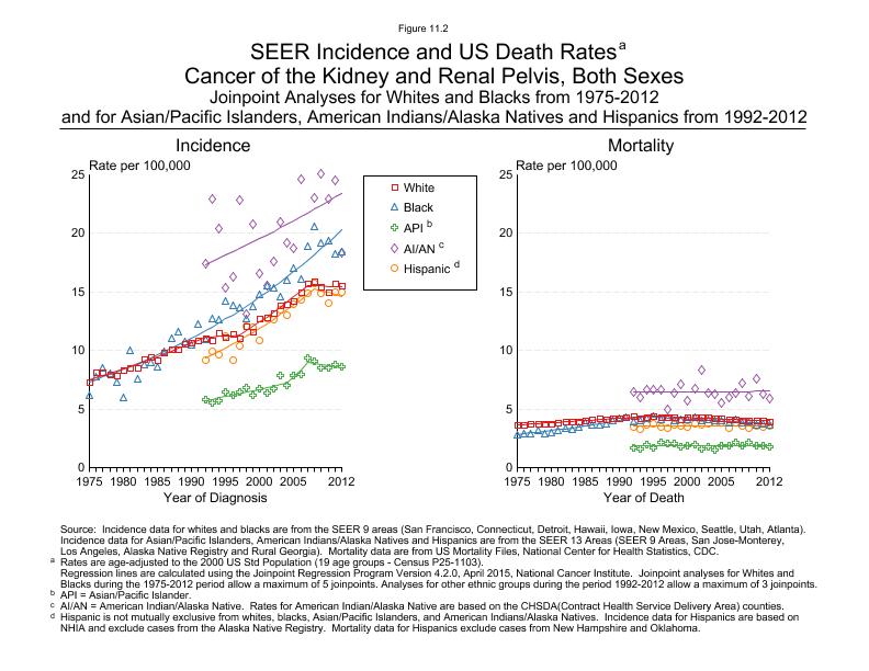 CSR Figure 11.2: SEER Incidence and US Death Rates by Race/Ethnicity