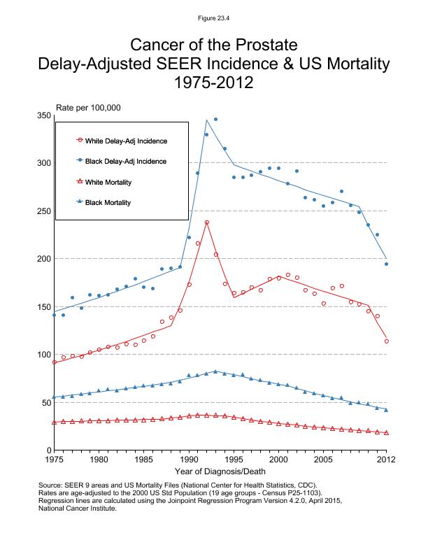 CSR Figure 23.4: SEER Delay Adjusted Incidence and US Mortality by Race