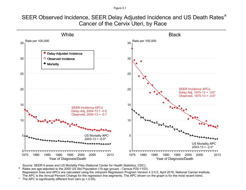 CSR Figure 5.1: SEER Incidence, Delay Adjusted Incidence and US Death Rates by Race