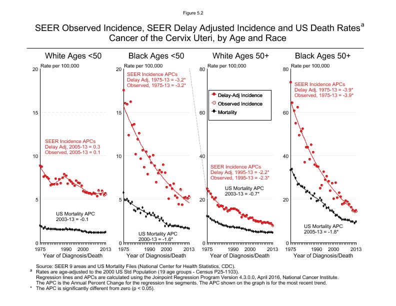 CSR Figure 5.2: SEER Incidence, Delay Adjusted Incidence and US Death Rates by Age and Race