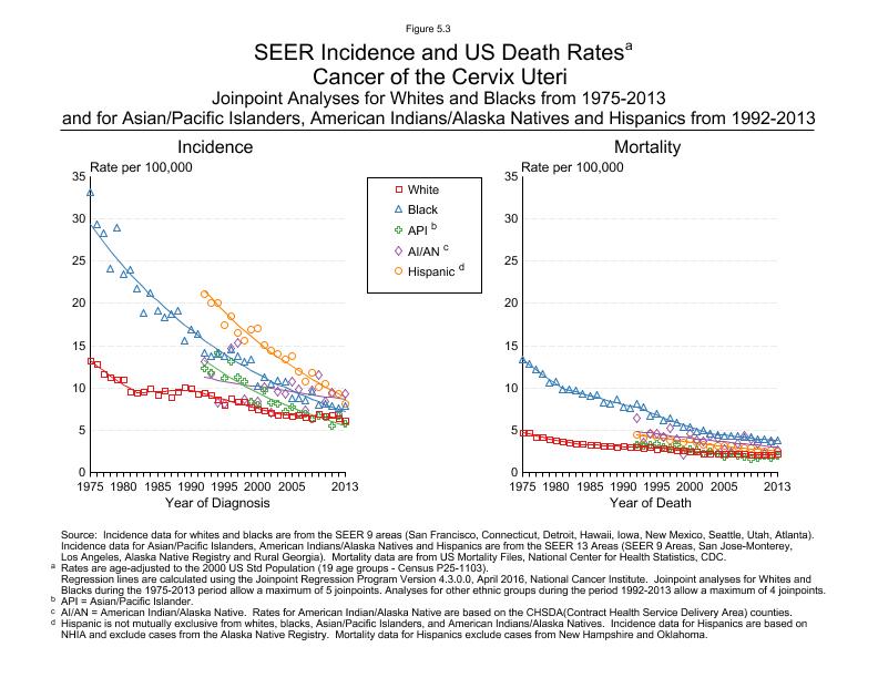 CSR Figure 5.3: SEER Incidence and US Death Rates by Race/Ethnicity