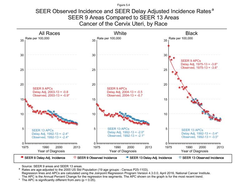 CSR Figure 5.4: SEER Delay Adjusted Incidence Rates for SEER 9 and SEER 13 Areas