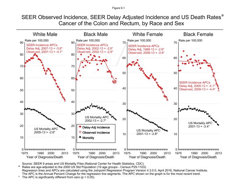 CSR Figure 6.1: SEER Incidence, Delay Adjusted Incidence and US Death Rates by Race and Sex