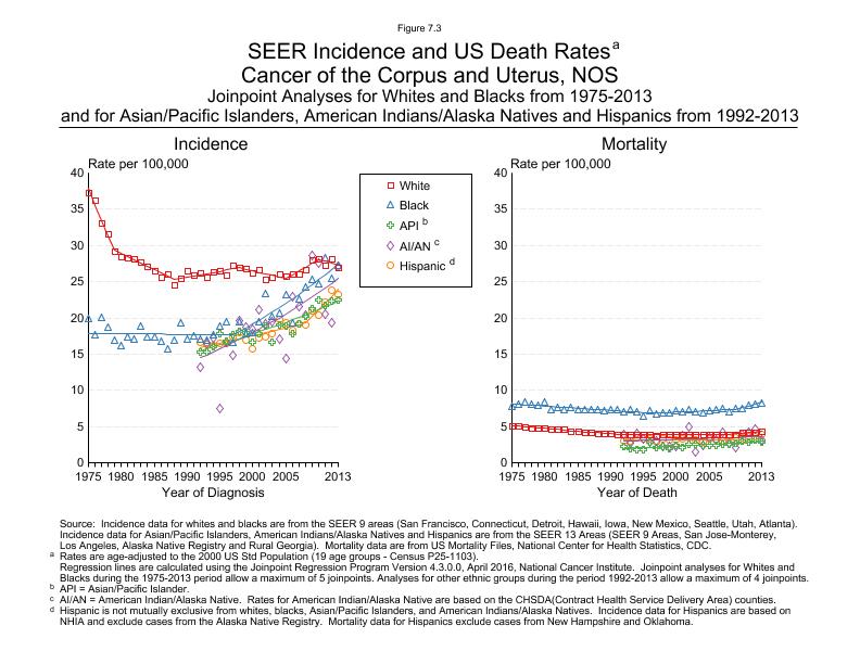 CSR Figure 7.3: SEER Incidence and US Death Rates by Race/Ethnicity