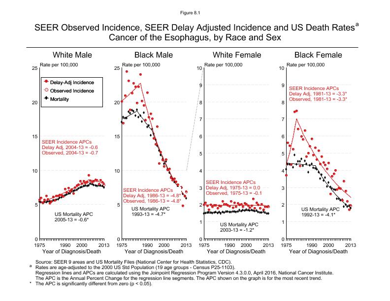 CSR Figure 8.1: SEER Incidence, Delay Adjusted Incidence and US Death Rates by Race and Sex