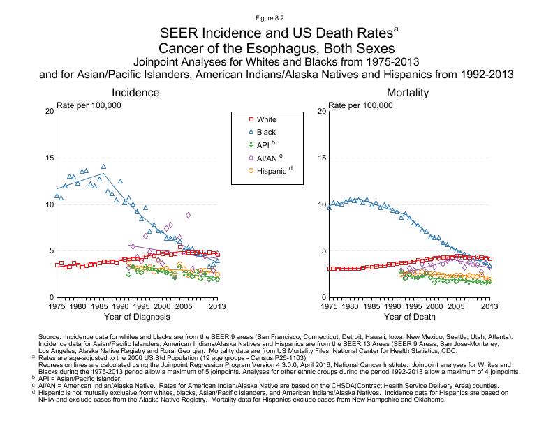 CSR Figure 8.2: SEER Incidence and US Death Rates by Race/Ethnicity