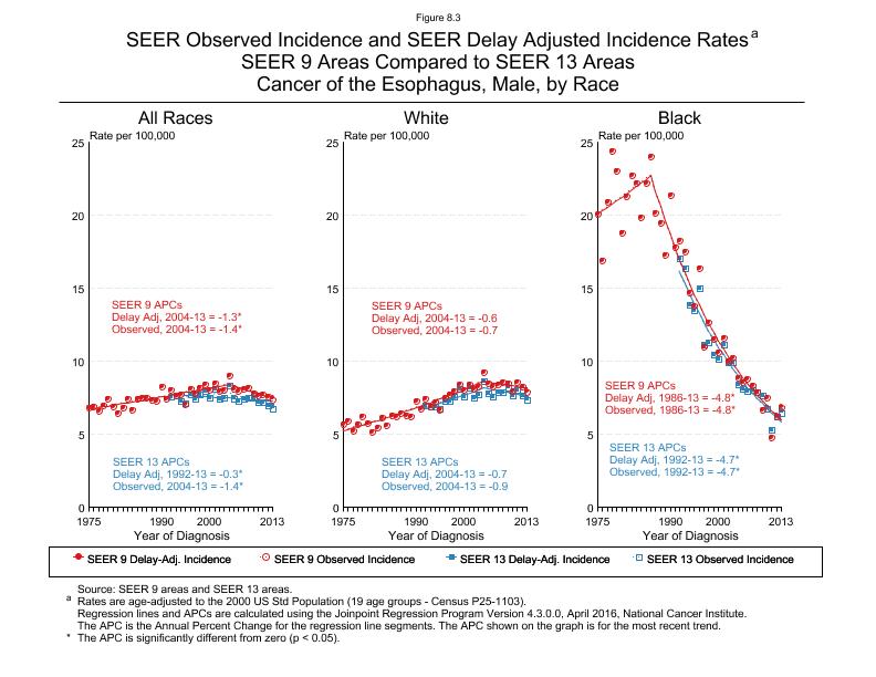 CSR Figure 8.3: SEER Delay Adjusted Incidence Rates for SEER 9 and SEER 13 Areas, Males