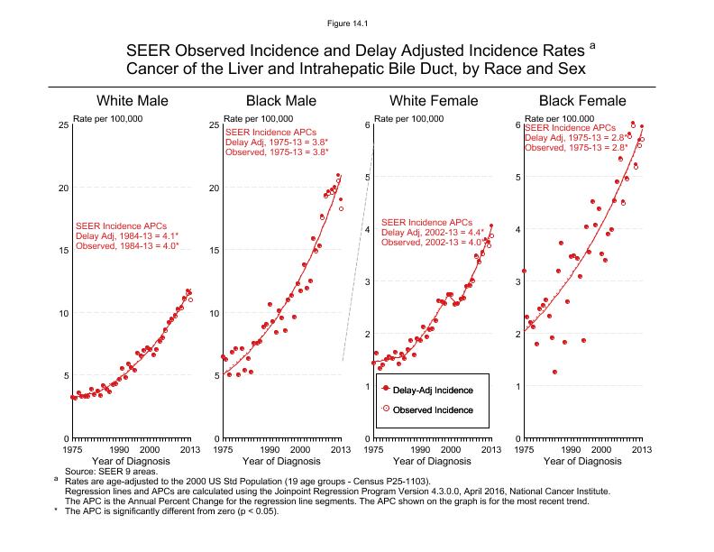 CSR Figure 14.1: SEER Incidence and Delay Adjusted Incidence by Race and Sex