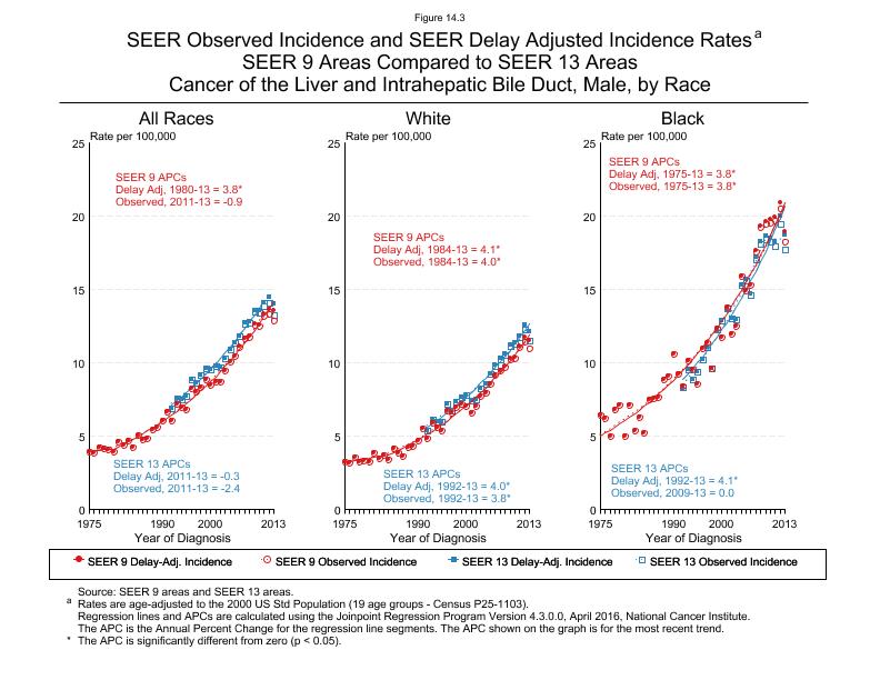 CSR Figure 14.3: SEER Delay Adjusted Incidence Rates for SEER 9 and SEER 13 Areas, Males