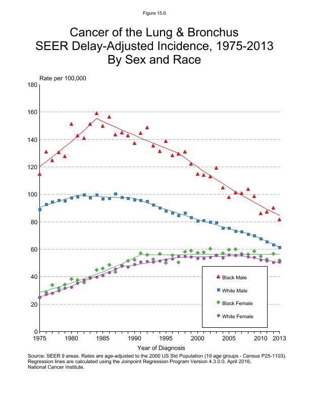 CSR Figure 15.6: SEER Delay Adjusted Incidence by Sex and Race