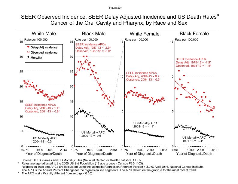 CSR Figure 20.1: SEER Incidence, Delay Adjusted Incidence and US Death Rates by Race and Sex