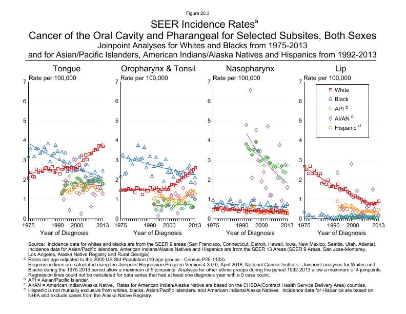 CSR Figure 20.3: SEER Incidence Rates by Race/Ethnicity