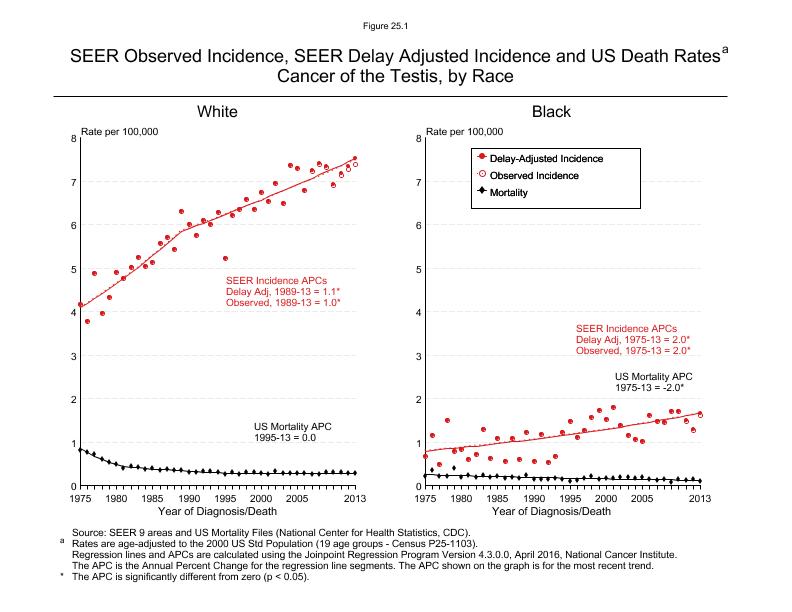 CSR Figure 25.1: SEER Incidence, Delay Adjusted Incidence and US Death Rates by Race