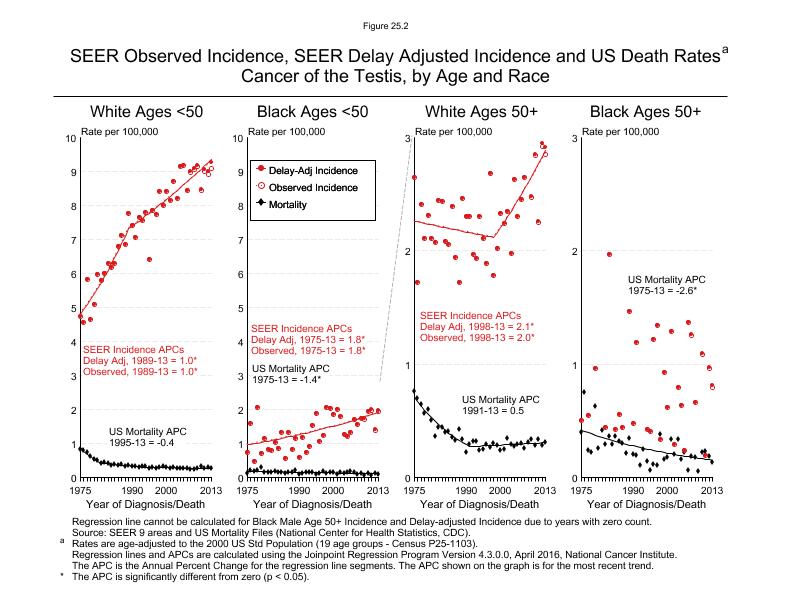 CSR Figure 25.2: SEER Incidence, Delay Adjusted Incidence and US Death Rates by Age and Race