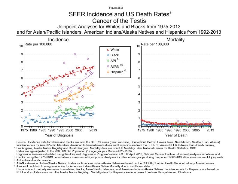 CSR Figure 25.3: SEER Incidence and US Death Rates by Race/Ethnicity