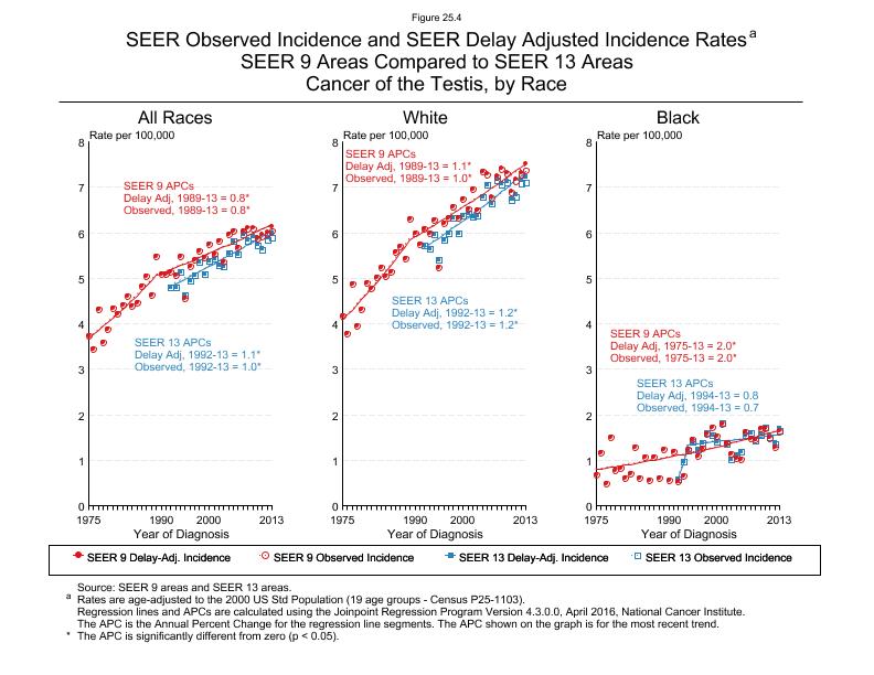 CSR Figure 25.4: SEER Delay Adjusted Incidence Rates for SEER 9 and SEER 13 Areas