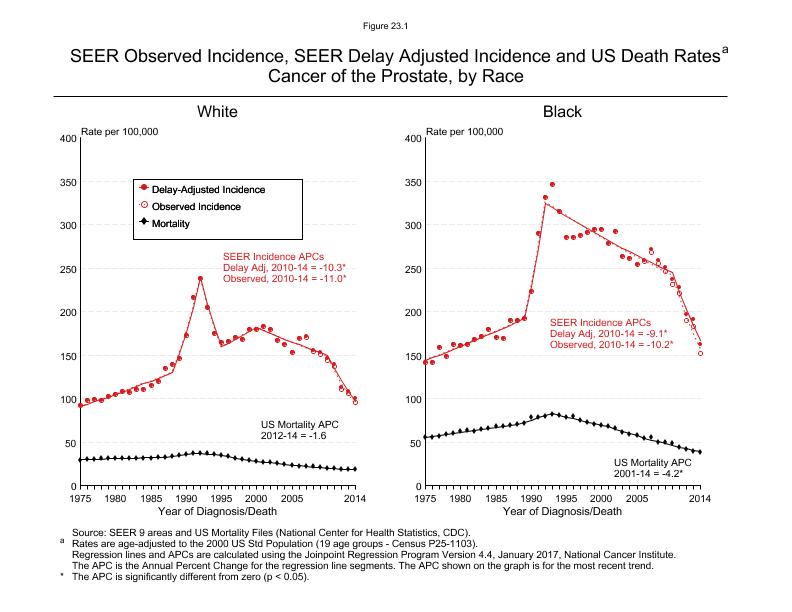 CSR Figure 23.1: SEER Incidence, Delay Adjusted Incidence and US Death Rates by Race