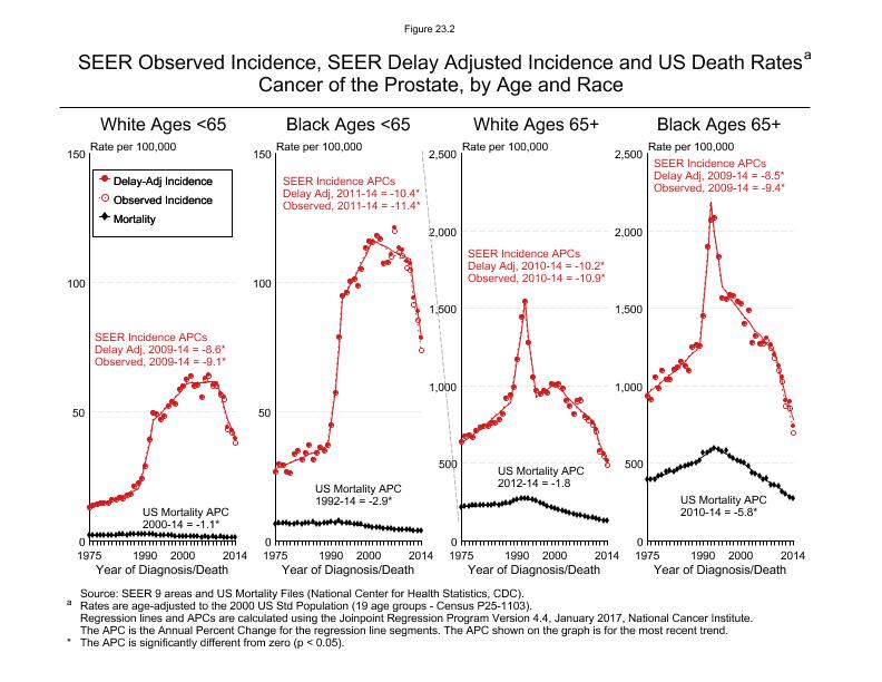 CSR Figure 23.2: SEER Incidence, Delay Adjusted Incidence and US Death Rates by Age and Race