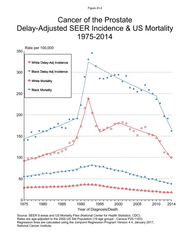 CSR Figure 23.4: SEER Delay Adjusted Incidence and US Mortality by Race