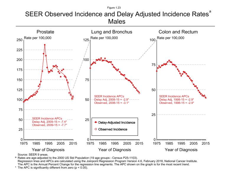 CSR Figure 1.23: SEER Incidence Rates, Males (Prostate, Lung and Bronchus, Colon and Rectum)