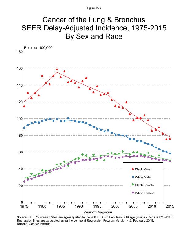 CSR Figure 15.6: SEER Delay Adjusted Incidence by Sex and Race